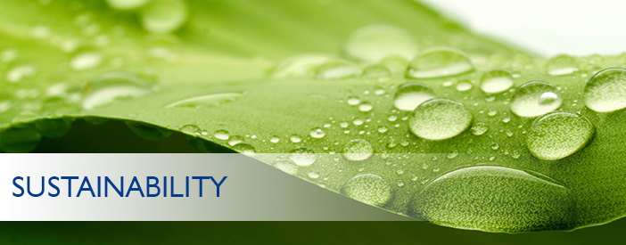 Sustainability as Value Creation, Improved Profitability and a Driver of Growth