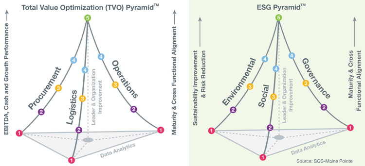 ESG TVO Pyramid