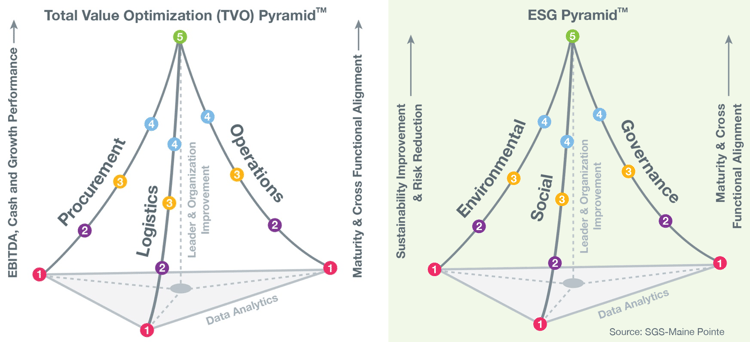 ESG TVO Pyramid ESG TVO Pyramid