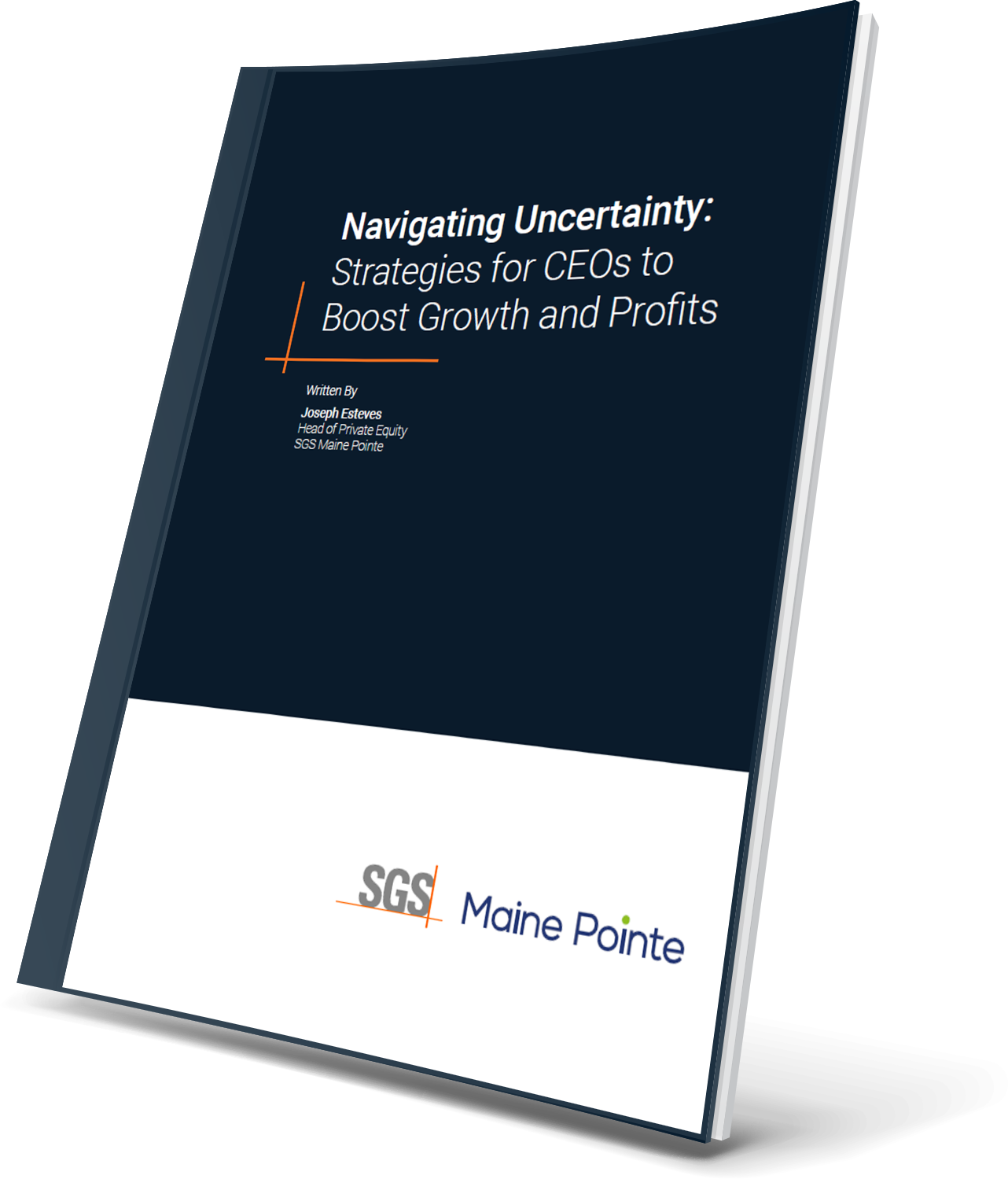 Strategies for CEOS to Boost Growth and Profits Cover Strategies for CEOS to Boost Growth and Profits Cover