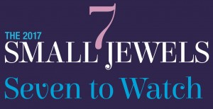 7 Small Jewels To Watch