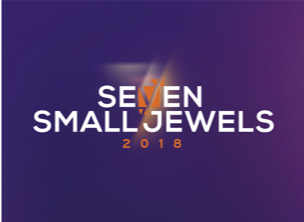 Small Jewels Logo