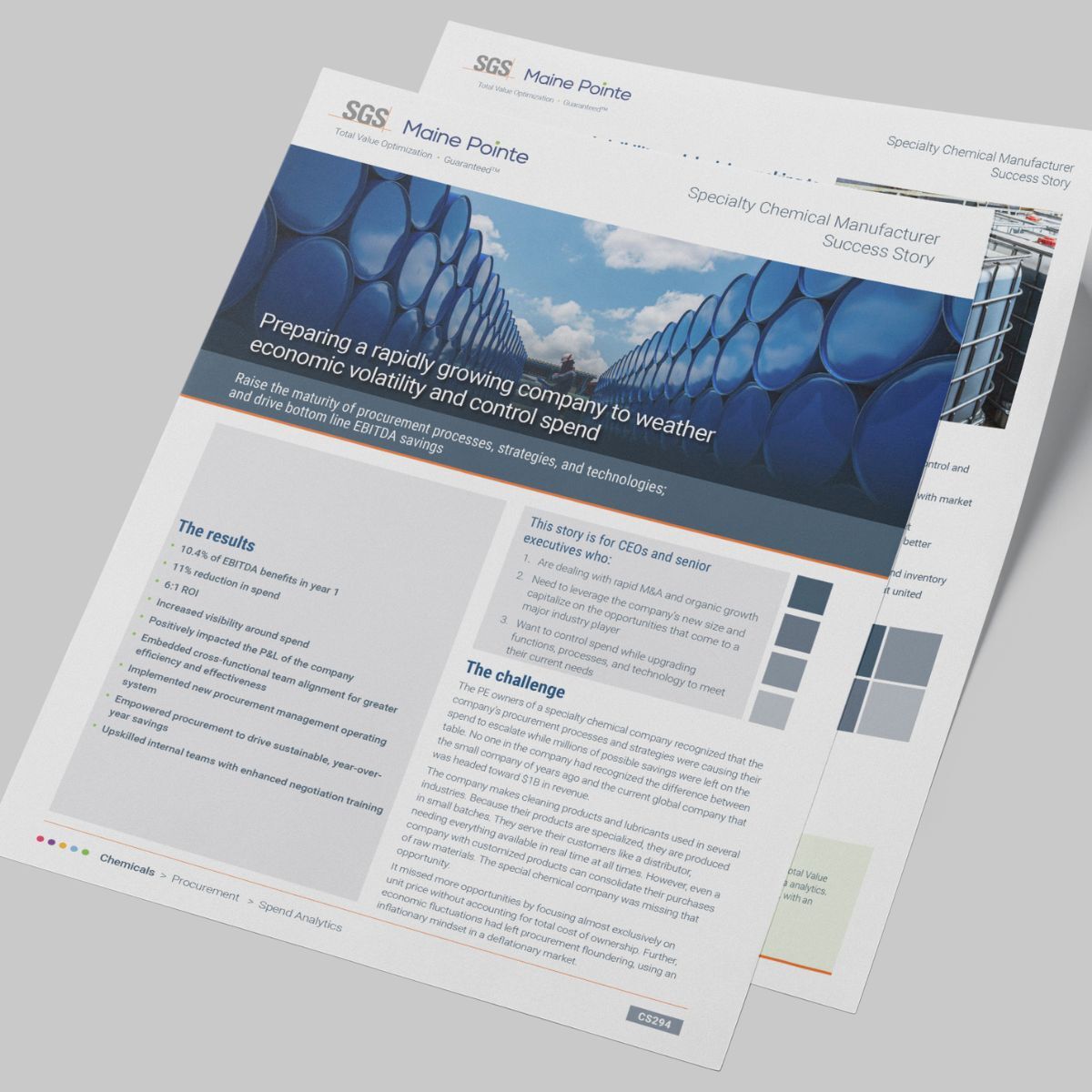 Weathering economic volatility: Specialty Chemical Manufacturer